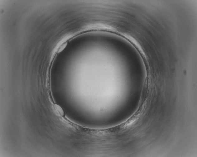 X0000062860815200601131414
