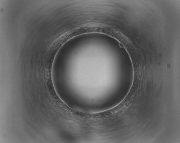 X0000062860821200601131413