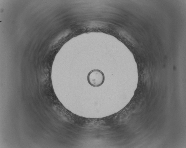 X0000062860824200601131413