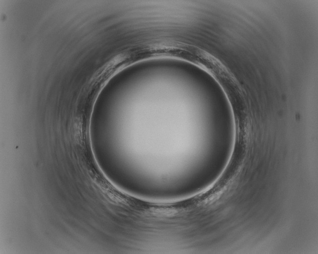 X0000062860825200601131413