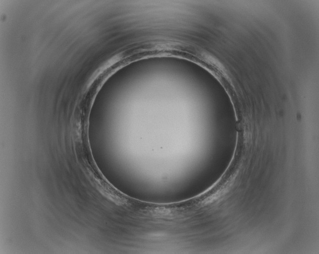 X0000062860827200601131413
