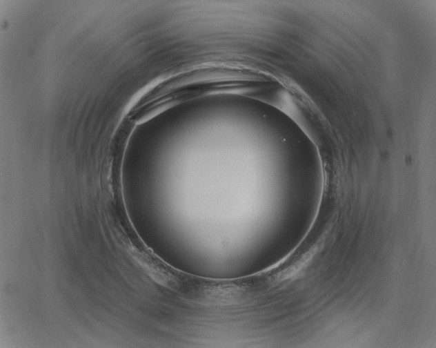 X0000062860830200601131413