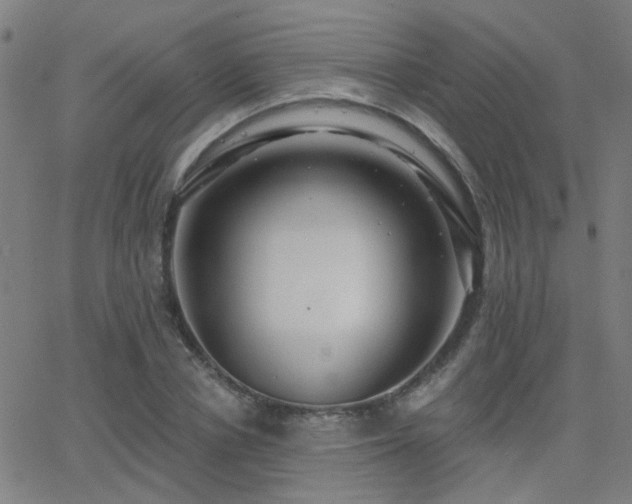 X0000062860834200601131413