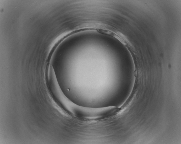 X0000062860846200601131413