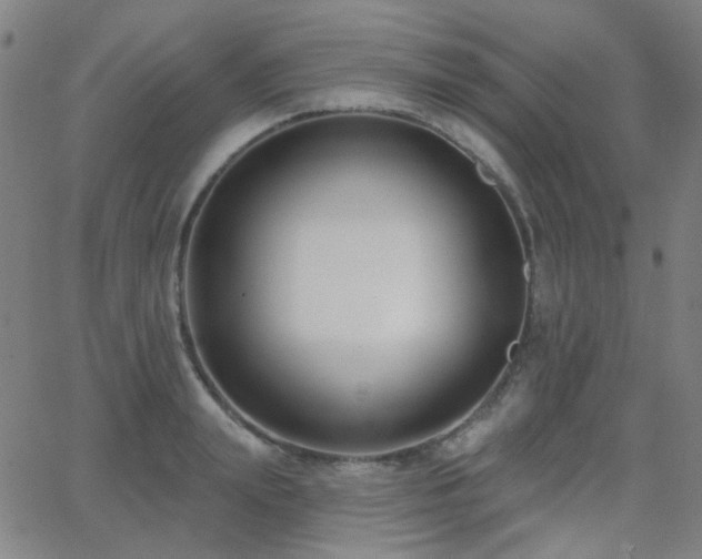 X0000062860847200601131413