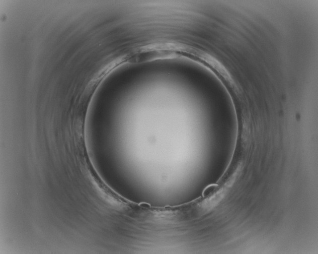 X0000062860849200601131413