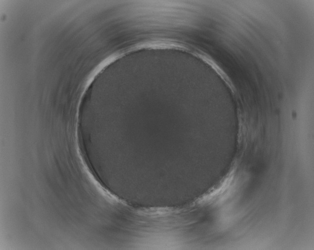 X0000062860853200601131414