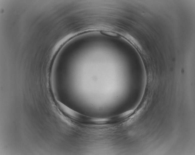 X0000062860854200601131414