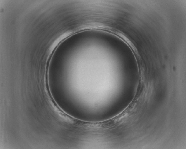 X0000062860861200601131414