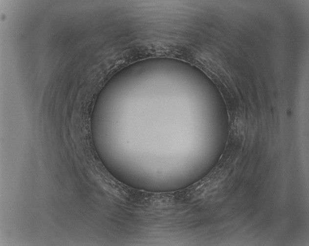 X0000062860865200601131413