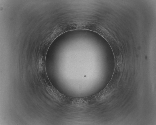 X0000062860866200601131413