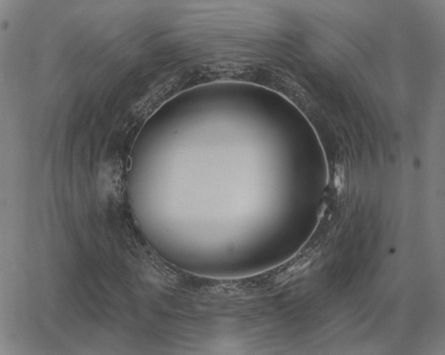 X0000062860867200601131413