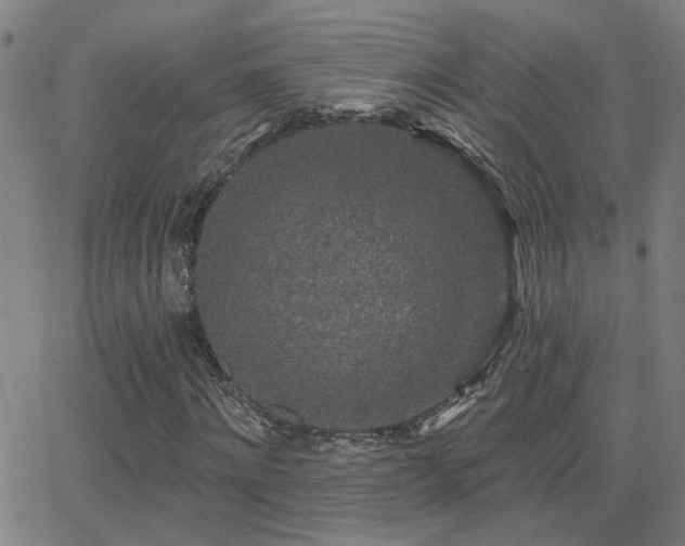 X0000062860868200601131413