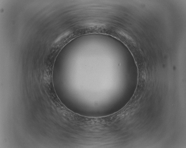 X0000062860869200601131413