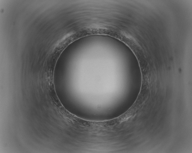 X0000062860870200601131413