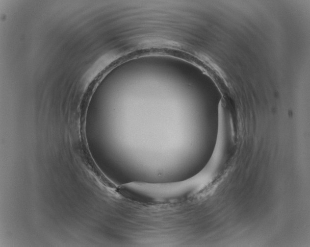X0000062860877200601131413