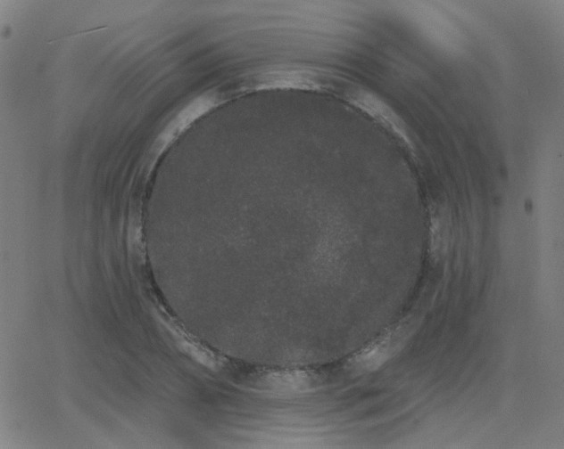 X0000062860882200601131413