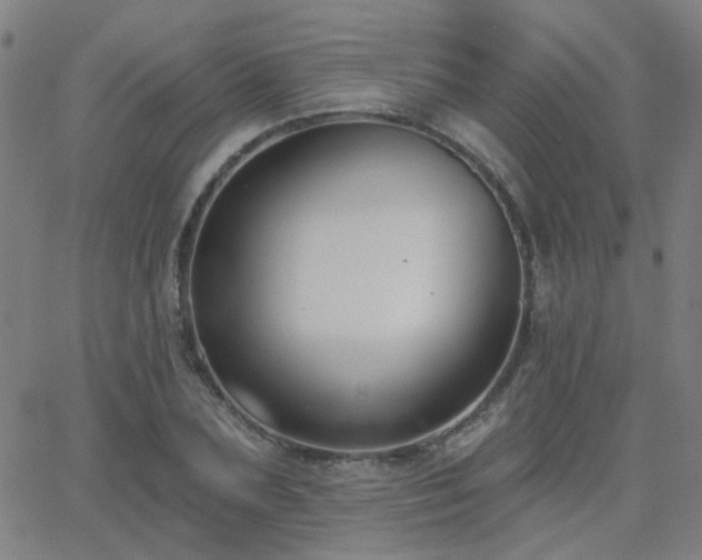 X0000062860883200601131413