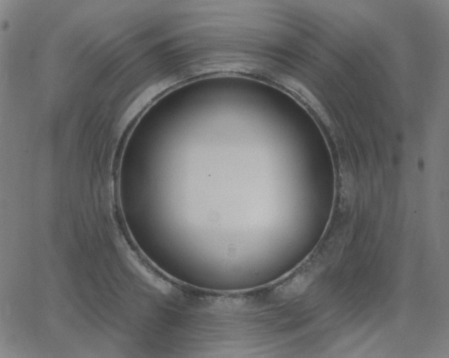 X0000062860890200601131412
