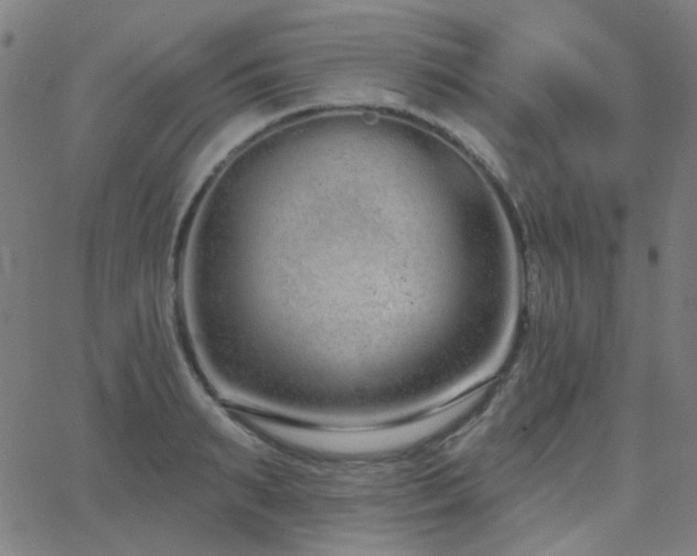 X0000062860895200601131412