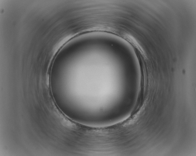 X0000062860900200601131412