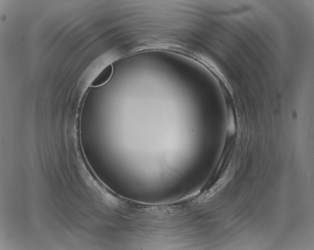 X0000062860906200601131412