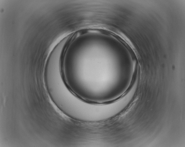 X0000062860909200601131412