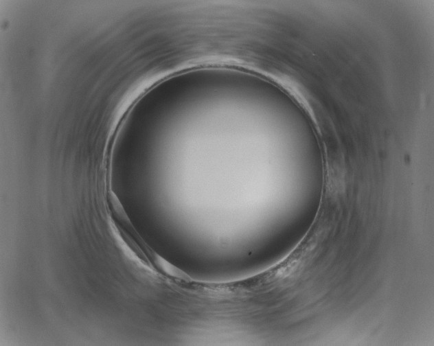 X0000062860911200601131412