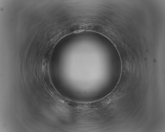 X0000062860914200601131411
