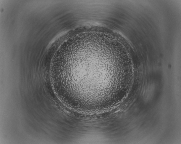 X0000062860919200601131411