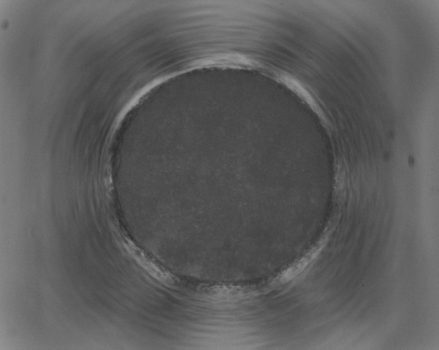 X0000062860923200601131411