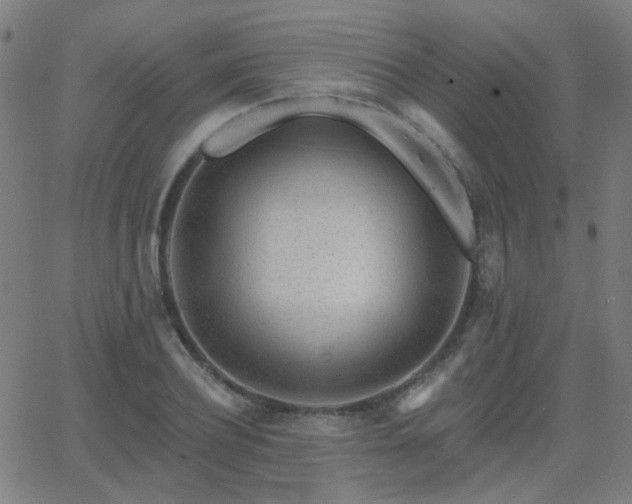 X0000062860932200601131412