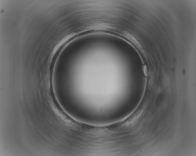 X0000062860939200601131412