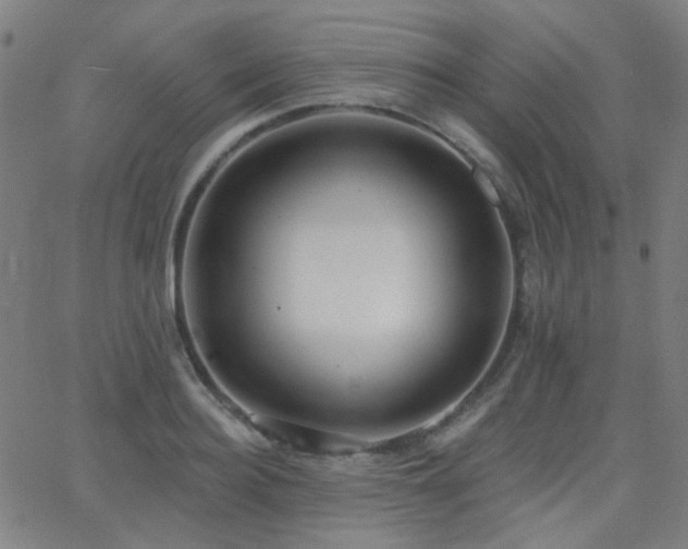 X0000062860940200601131412