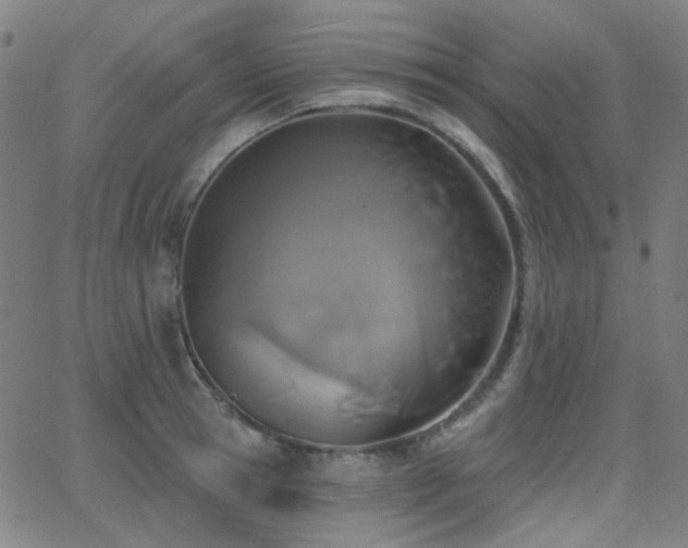 X0000062860945200601131412