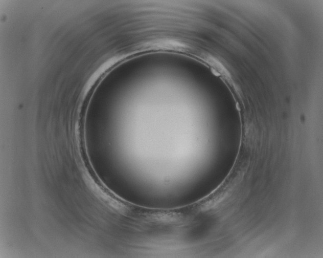 X0000062860947200601131412