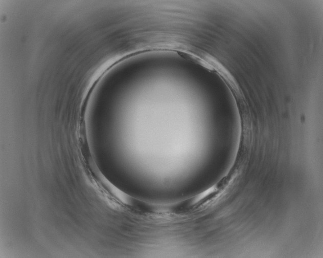 X0000062860956200601131412