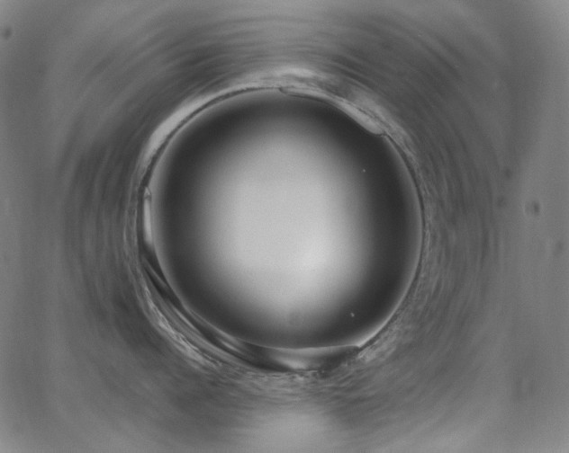 X0000062860960200601131412