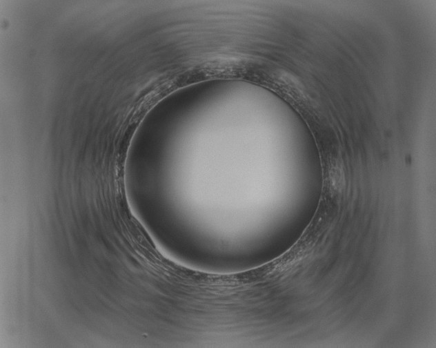 X0000062860964200601131411