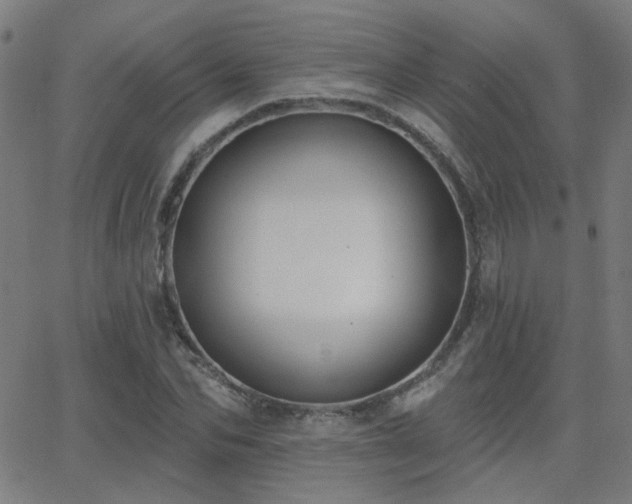 X0000062860974200601131411