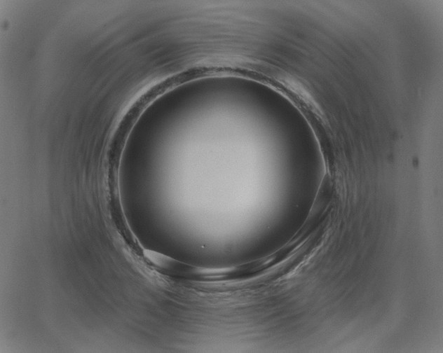 X0000062860976200601131411