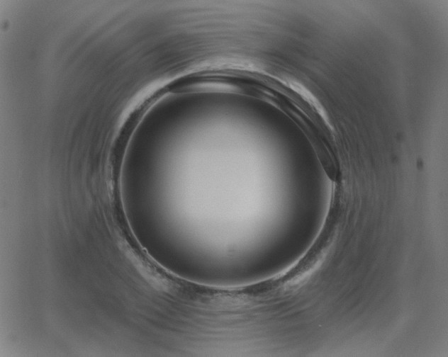 X0000062860981200601131411