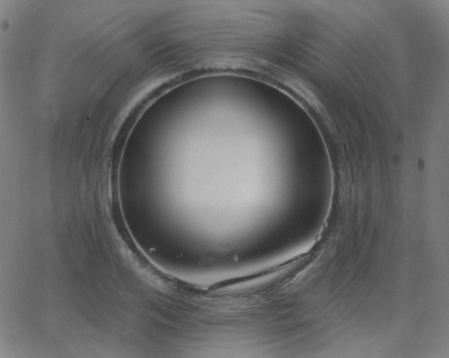 X0000062860984200601131411