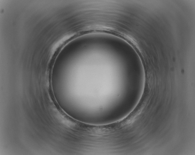 X0000062860987200601131411