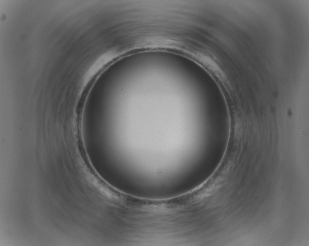 X0000062860990200601131411