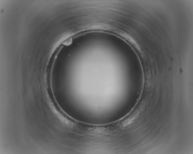 X0000062860991200601131411