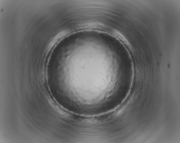 X0000062860994200601131411