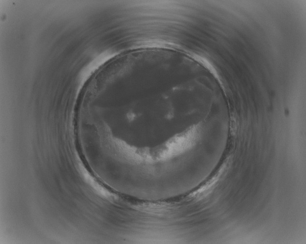 X0000062860995200601131411