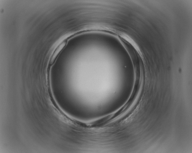 X0000062860996200601131411