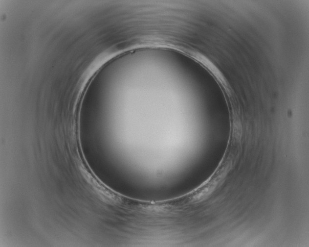 X0000062861004200601131411